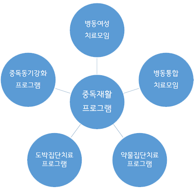 중독재활 프로그램:병동여성 치료모임, 병동통합 치료모임, 약물집단치료 프로그램, 도박집단치료 프로그램, 중독동기강화 프로그램